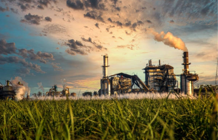 Sugar Industry